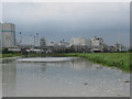 Pharmaceutical plant on the banks of the River Stour