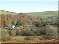 East Allen Dale near The Holms