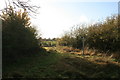 Footpath to Charlbury