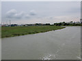 Section of the River Stour known as Old Salthouse Reach