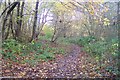 Track to Poldhurst Farm Fields