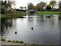 Canal pound, Fourteen locks, Newport