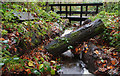 Sheugh and footbridge, Banbridge