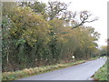 SP5518 : Autumn colour along a minor road at Wendlebury by Sarah Charlesworth