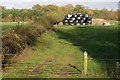 Bales stacked north-west of Prospect Farm