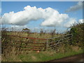 Rusty gate and fluffy cloud