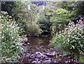 North Calder Water at Calderpark Haugh