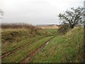 Track, Wester Jawcraig