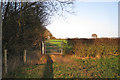 New bridleway gate east of Bulloak Farm