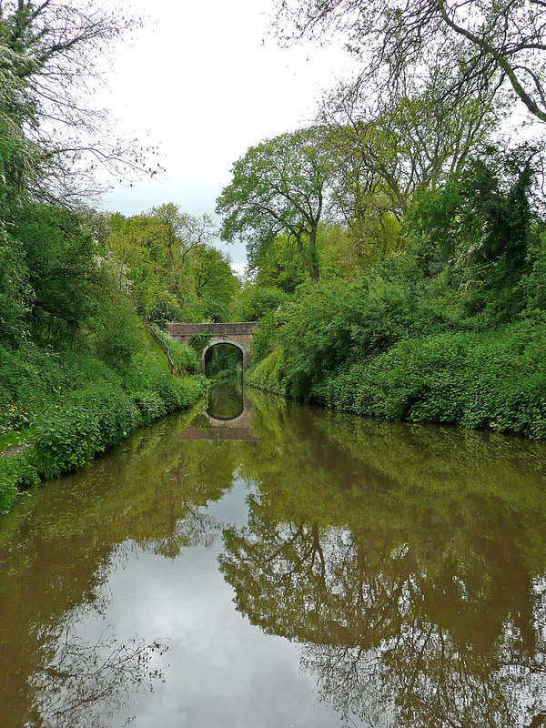 Shropshire Union Canal Approaching Roger D Kidd Cc By Sa 2 0   1589442 8fa7228d 800x800 