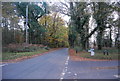 Road in Broadwater Forest