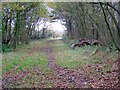 Bridleway, Holt Heath