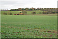 Semi-derelict farm buildings below Prospect Farm