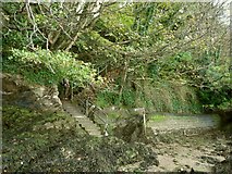 SS5548 : Steps leading away from Watermouth bay toward the A399 by Roger A Smith