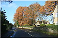 Autumn colour in Standlake