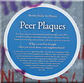 Blue plaques with a difference and these are Peer Plaques