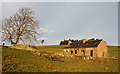 A ruined farm building on Craigend Hill