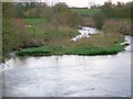 River Allen near Clapgate