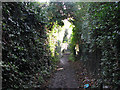 Footpath through the allotments