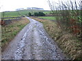 Track near Bushy Heath Farm looking towards Tides Low