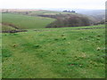 Footpath towards Abney Grange