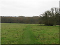 View ESE towards Itchingfield