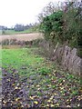 Footpath near Mildenhall