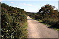 Coast to Coast cycle path near Twelveheads