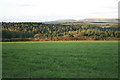 Farmland near Ladock