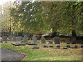 Gravestones in Hannington churchyard (1)