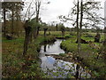 The River Leach at Southrop