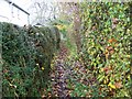 Footpath, Stitchcombe