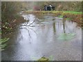 River Kennet, Stitchcombe