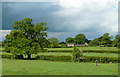 Pasture north of Market Drayton, Shropshire