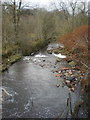 Tinker Brook