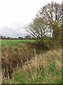 View across the Beck