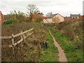 Path approaching Cotford St Luke