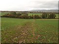 Path to Bishops Lydeard