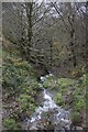 Clay Wood brook, Golcar