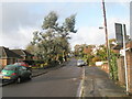 An autumnal Woodcroft Lane