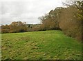 Field near Ash Priors