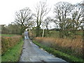 Road towards Caddiford Farm