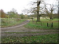 Track to Home Farm and Shepherds Cottage