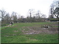 A muddy scene at Staunton Country Park