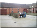 Grooming the pony at Staunton Country Park