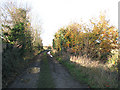TM2084 : View north-west along dismantled trackbed of the Waveney Valley Line by Evelyn Simak