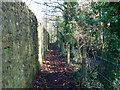 Path to Fremington Pill and Quay