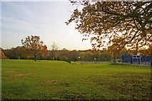 TQ2995 : Oakwood Park in Autumn by Christine Matthews