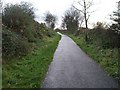 View south along the cycleway