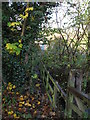 Footbridge over Darden Burn at the ford below Coastley